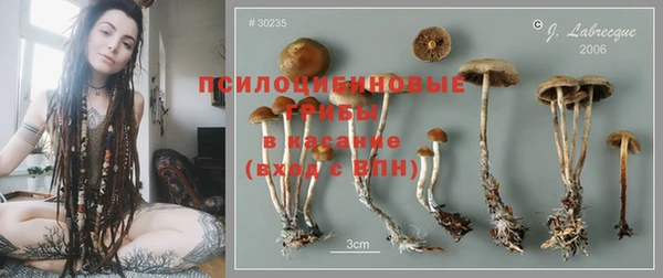 прущая мука Михайлов