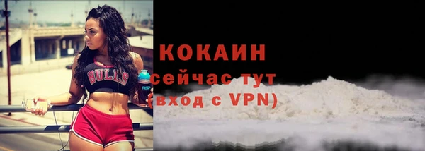 прущая мука Михайлов