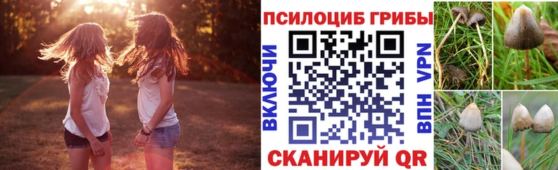 Галлюциногенные грибы ЛСД  где купить   Сибай 