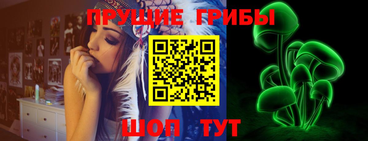 Галлюциногенные грибы GOLDEN TEACHER  Вход с VPN  Псилоцибиновые грибы Psilocybine cubensis  Сибай 